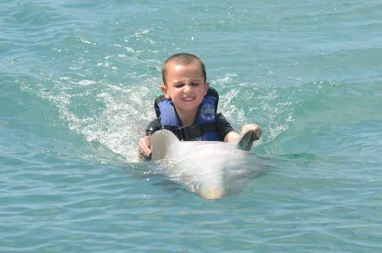 Royal Garrafon in Isla Mujeres + Dolphin Swim Adventure — 2