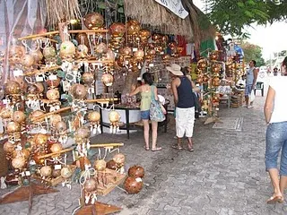 Private Van to Xcaret — 5