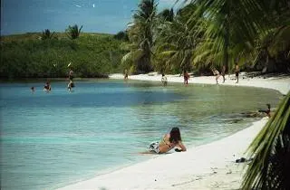 Tour to Contoy Island — 4