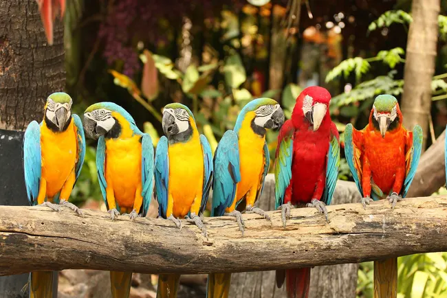 Xcaret Basic Tour