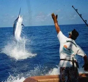 6 HOURS PRIVATE DEEP SEA FISHING (8 people maximum) — 4