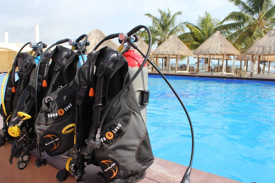 Diving Lesson and Diving in a Reef — 3