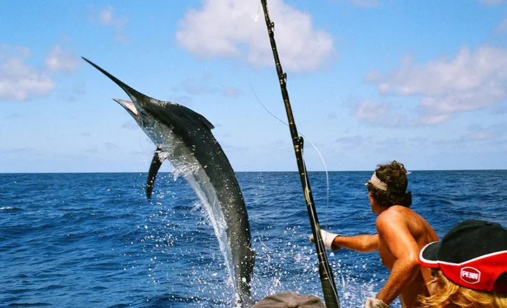 4 HOURS SHARED DEEP SEA FISHING (6 people maximum) — 5