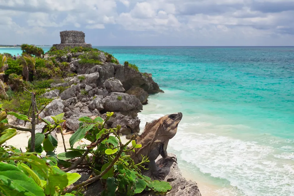 Tulum & Jaguar Park — 5