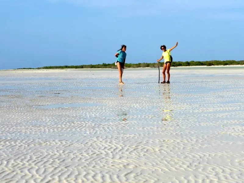 Holbox Transportation — 3