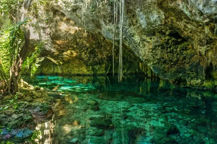 Aquatic Adventure in Tulum