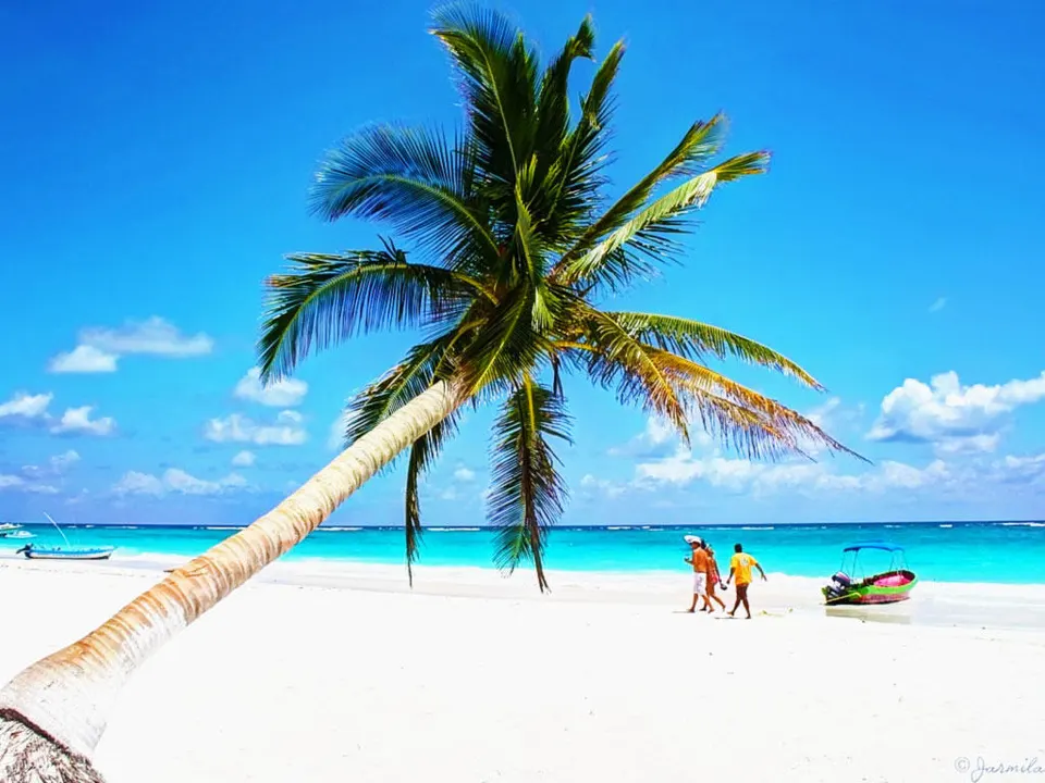 Aquatic Adventure in Tulum — 5
