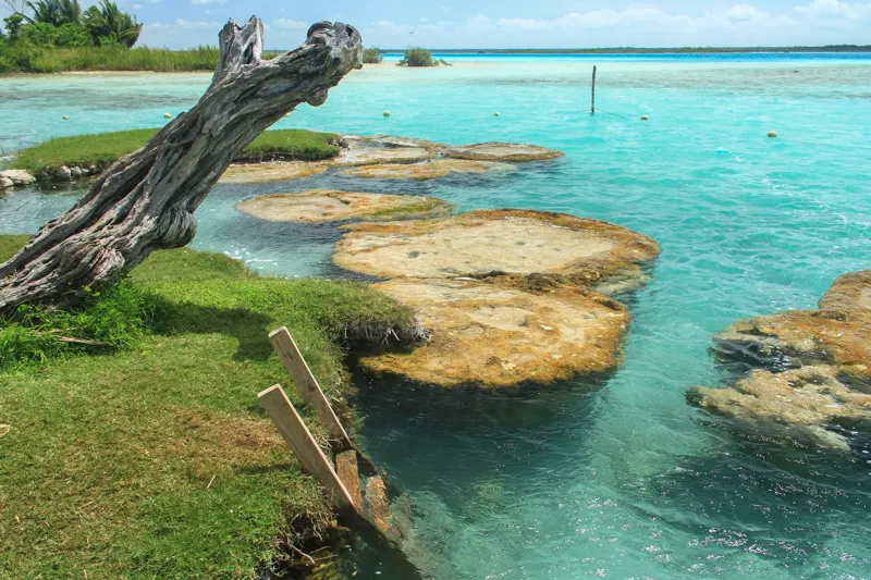 Transportation Bacalar — 2
