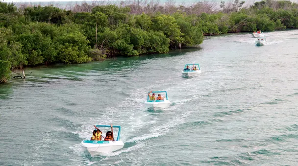 Jungle Tour and Underwater Museum — 3
