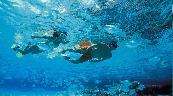 Jungle Tour and Underwater Museum — 2