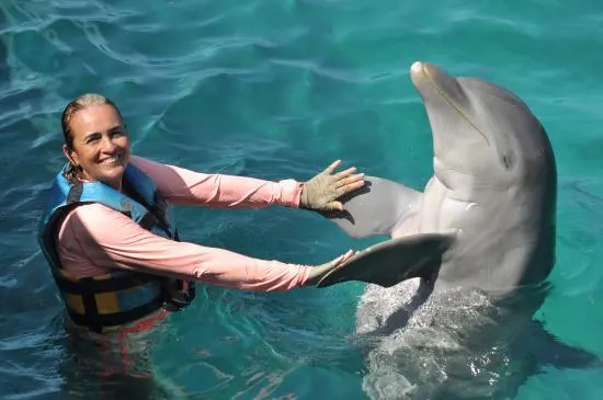 Royal Garrafon VIP and Royal Dolphin Swim