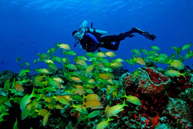 Certified Diving in Cancun — 3