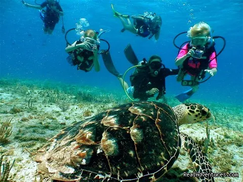Referral Dives — 5