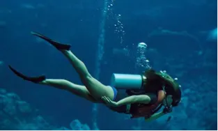 Certified Scuba Diving One Tank Certified Dive — 3