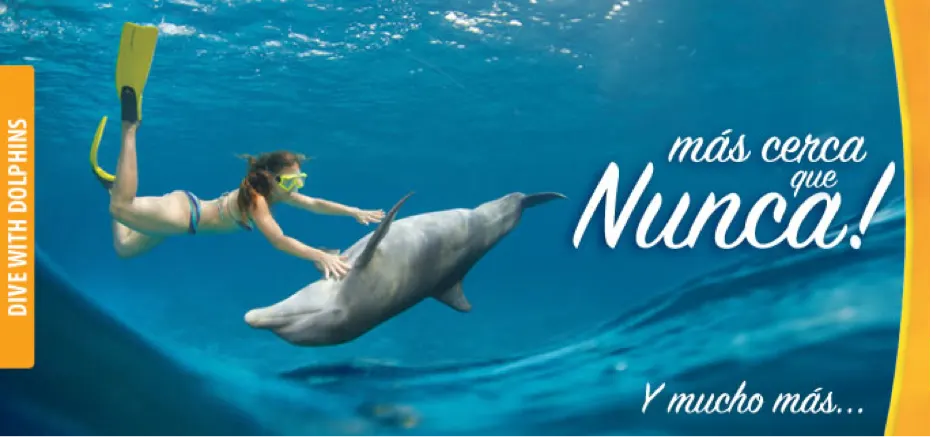 Buceo con Delfines en Cozumel