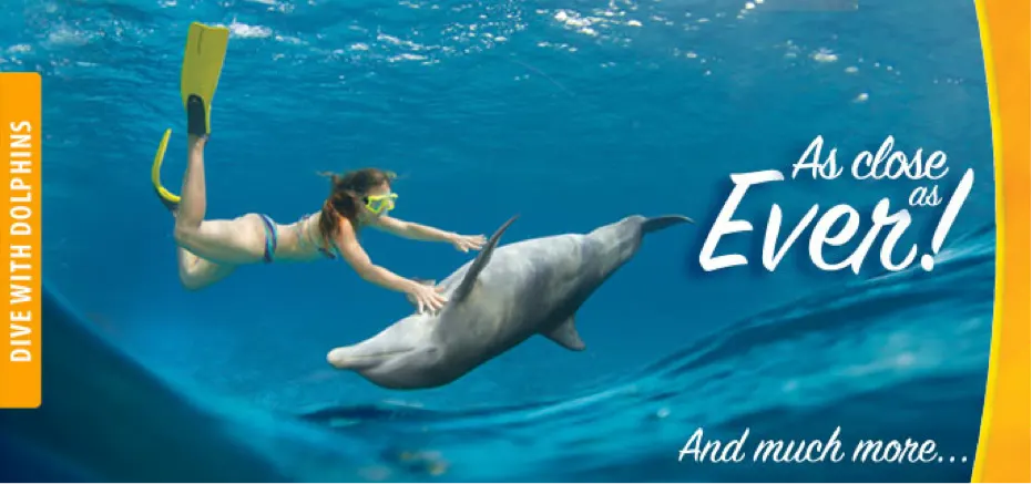 Under Water Experience in Cozumel
