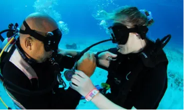 Referral Dives — 4