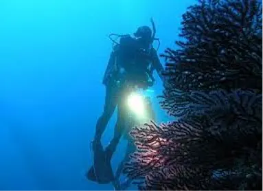 Scuba Divers Course — 2