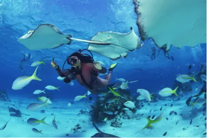 Scuba Divers Course — 3