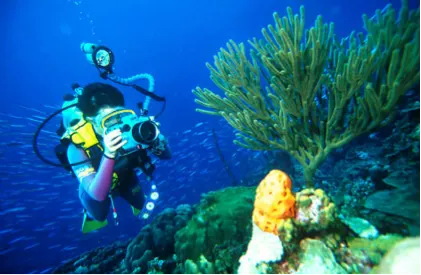 Scuba Divers Course — 4