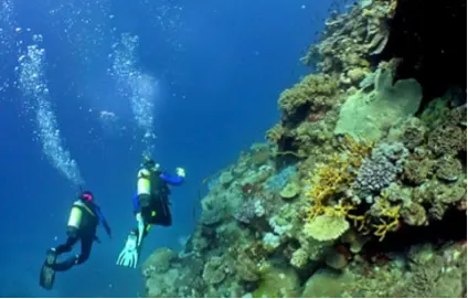 Scuba Divers Course — 5
