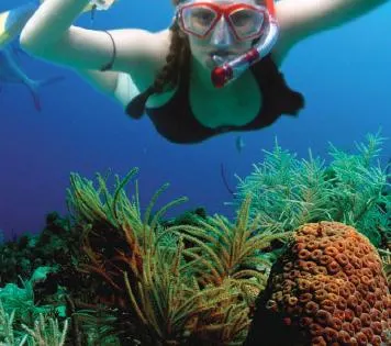 Catamaran Tour to Isla Mujeres & Snorkel (Get Up and Go) — 3