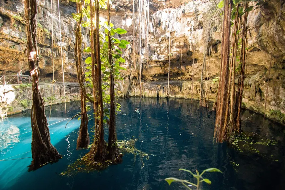 Cenote Experience