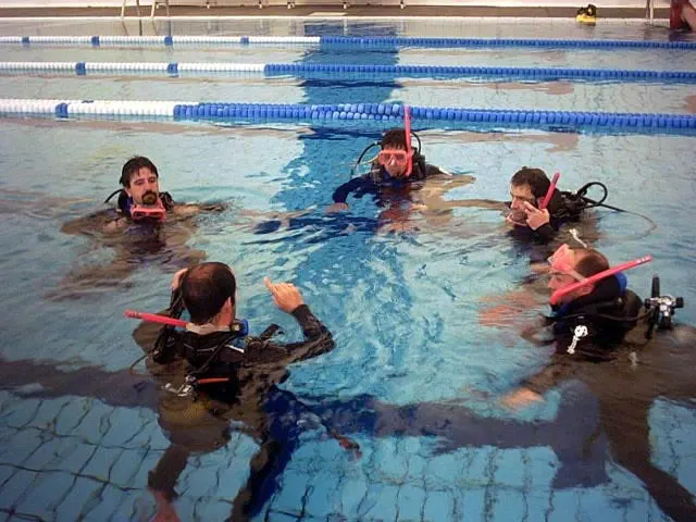 Referral Dives