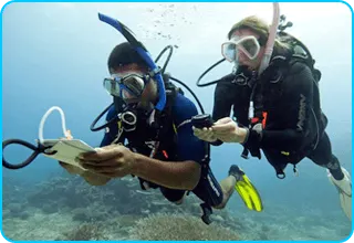 Padi Open Water Course