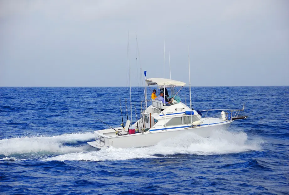8 HOURS PRIVATE DEEP SEA FISHING (8 people maximum)