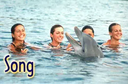 Dolphin Encounter in Isla Mujeres — 2