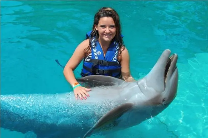 Swim with Dolphins Premium