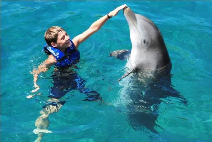 Swim with Dolphins Premium — 5