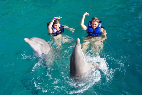 Dolphin Splash in Cancun, Puerto Morelos or Riviera Maya — 5