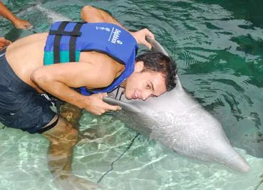 Swim with Dolphins — 2