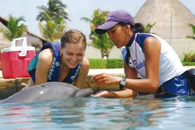 Swim with Dolphins — 3