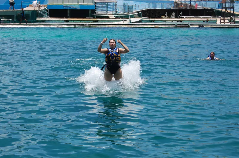 Swim with Dolphins in PDC and Puerto Aventuras (Royal Swim)