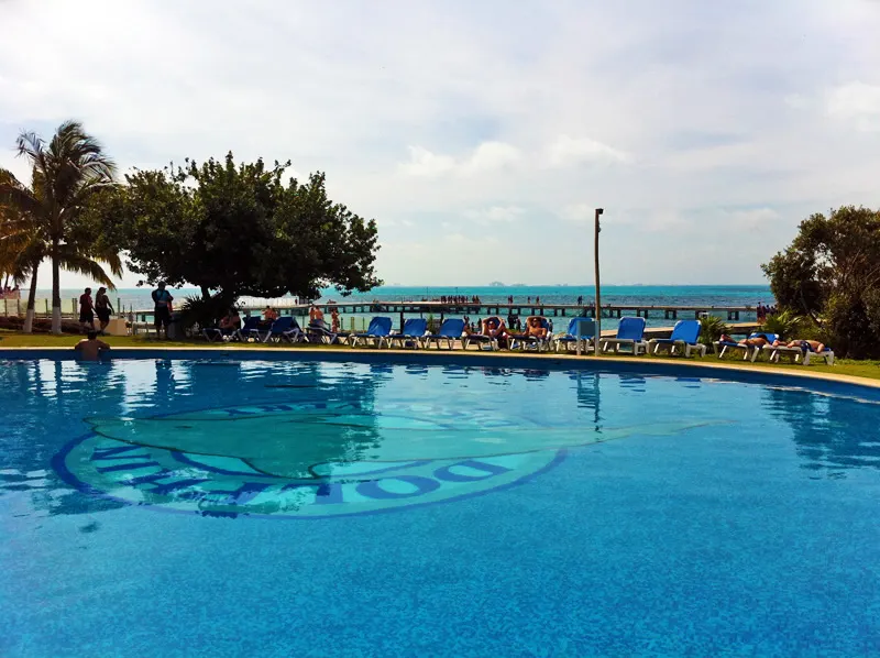 Dolphin Royal Swim VIP in Isla Mujeres — 5