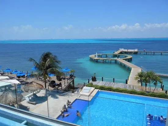 Dolphin Encounter in Isla Mujeres — 4