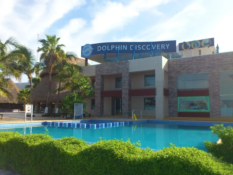 Dolphin Royal Swim VIP in Isla Mujeres — 4