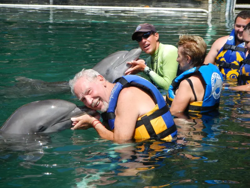 Swim with Dolphins in PDC and Puerto Aventuras (Royal Swim) — 3