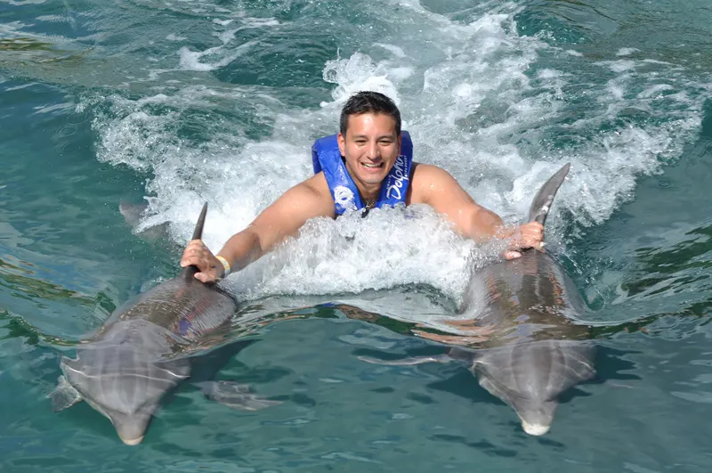 Swim with Dolphins in PDC and Puerto Aventuras (Royal Swim) — 2