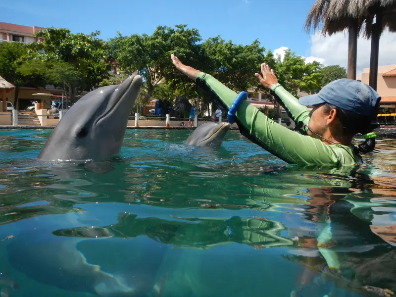 Swim with Dolphins in PDC and Puerto Aventuras (Royal Swim) — 5
