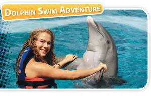 Dolphin Swim Adventure At Isla Mujeres