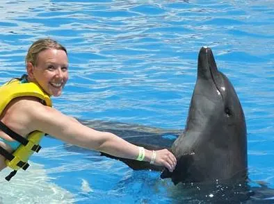 Dolphin Trainer For a Day — 3