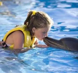 Dolphin Swim Program (Dsp) with Transportation — 2