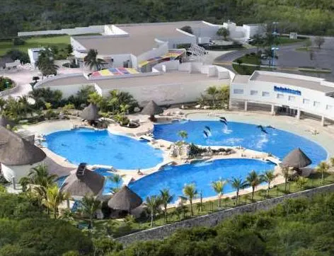 Dolphin Swim Program (Dsp) with Transportation — 4