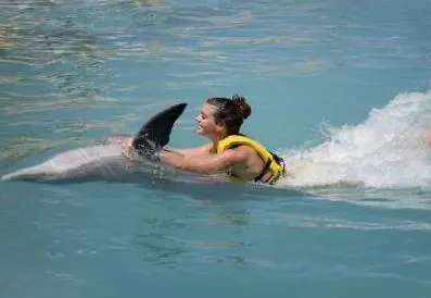 Dolphin Swim and Ride with Transportation — 4