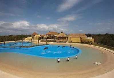 Dolphin Swim and Ride with Transportation