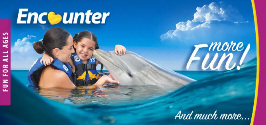 Dolphin Encounter At Cozumel